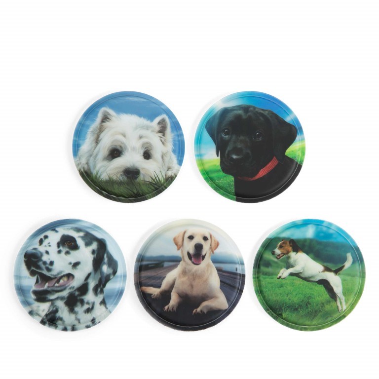Klettie Set Hunde, Farbe: blau/petrol, Marke: Ergobag, EAN: 4057081012015, Bild 1 von 1