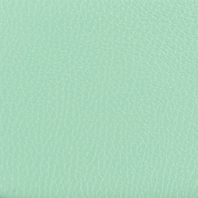 Gürteltasche Dollaro Mint, Farbe: grün/oliv, Marke: Hausfelder Manufaktur, EAN: 4065646003415, Bild 9 von 9