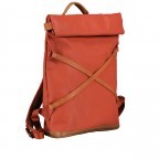 Rucksack Japan Yokohama Rooibos, Farbe: orange, Marke: Aunts & Uncles, EAN: 4250394985872, Abmessungen in cm: 28x40x10, Bild 2 von 8