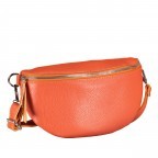 Gürteltasche Silberbeschlag Orange, Farbe: orange, Marke: Hausfelder Manufaktur, EAN: 4065646016651, Abmessungen in cm: 27x15x8, Bild 2 von 6