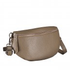 Gürteltasche Silberbeschlag Taupe, Farbe: taupe/khaki, Marke: Hausfelder Manufaktur, EAN: 4065646016767, Abmessungen in cm: 27x15x8, Bild 2 von 5