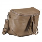 Gürteltasche Silberbeschlag Taupe, Farbe: taupe/khaki, Marke: Hausfelder Manufaktur, EAN: 4065646017580, Abmessungen in cm: 22x19x9, Bild 2 von 7