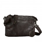 BRAUN/Chocolate Brown