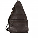 BRAUN/Chocolate Brown