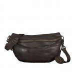 BRAUN/Chocolate Brown