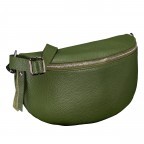 Gürteltasche mit Silberfittings Oliv, Farbe: grün/oliv, Marke: Hausfelder Manufaktur, EAN: 4065646022034, Abmessungen in cm: 25x14x8, Bild 2 von 6