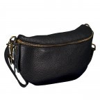 Gürteltasche / Umhängetasche mit Goldfittings Schwarz, Farbe: schwarz, Marke: Hausfelder Manufaktur, EAN: 4065646022041, Abmessungen in cm: 25x14x8, Bild 2 von 6