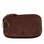 BRAUN/Chocolate Brown