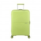 GELB/Electric Lime