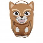 BRAUN/Katze