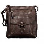 BRAUN/Chocolate Brown