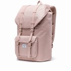 Rucksack Little America Rubber Straps Volumen 23 Liter Ash Rose, Farbe: rosa/pink, Marke: Herschel, EAN: 0828432314492, Abmessungen in cm: 28x50x17, Bild 2 von 5