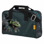 Schulranzen Ergoflex Max Set 5-teilig Dino Attack, Farbe: blau/petrol, Marke: DerDieDas, EAN: 4006047081206, Abmessungen in cm: 29x39x25, Bild 10 von 13