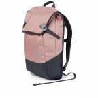 Rucksack Daypack Proof Rose, Farbe: rosa/pink, Marke: Aevor, EAN: 4057081082902, Abmessungen in cm: 34x48x14, Bild 2 von 14
