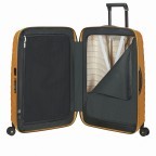 Koffer Proxis Spinner 69 Honey Gold, Farbe: metallic, Marke: Samsonite, Abmessungen in cm: 48x69x29, Bild 7 von 15