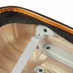Koffer Proxis Spinner 69 Honey Gold, Farbe: metallic, Marke: Samsonite, Abmessungen in cm: 48x69x29, Bild 11 von 15