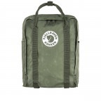 Rucksack Kånken Tree-Kånken Lichen Green, Farbe: grün/oliv, Marke: Fjällräven, EAN: 7323450719197, Abmessungen in cm: 25x36x11, Bild 1 von 11