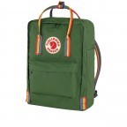 Rucksack Kånken Rainbow Spruce Green Rainbow Pattern, Farbe: grün/oliv, Marke: Fjällräven, EAN: 7323450752866, Abmessungen in cm: 27x38x13, Bild 2 von 11