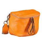 Gürteltasche Silberbeschlag Orange, Farbe: orange, Marke: Hausfelder Manufaktur, EAN: 4065646010154, Abmessungen in cm: 22x19x9, Bild 2 von 6