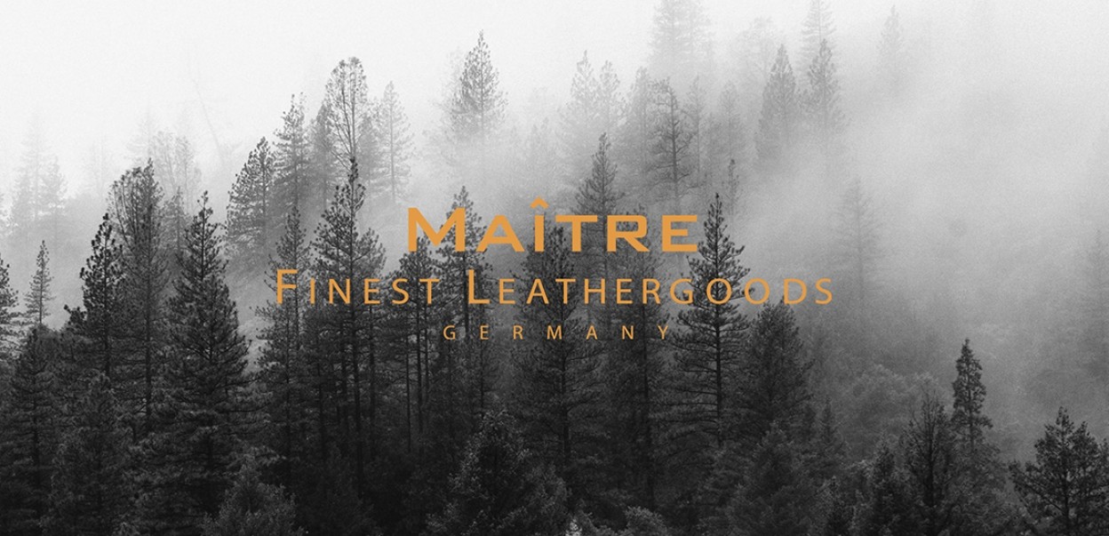 Maitre HW2022 - Wald